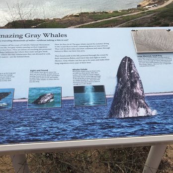 Old Point Loma Lighthouse - Landmarks & Historical Buildings Near Me - San Diego, California