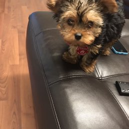 This is London my princess