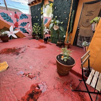 Cafeina Cafe - Cute patio after a heavy rain. - Cafes Near Me - San Diego, California Cafeina Cafe - Cute patio after a heavy rain. - Cafes Near Me - San Diego, California
