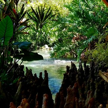 Rock City Gardens - Nurseries & Gardening Near Me - Sebastian, Florida Rock City Gardens - Nurseries & Gardening Near Me - Sebastian, Florida