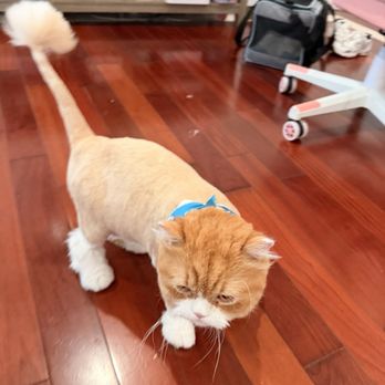 Happiness Grooming - Pet Groomers Near Me - Van Nuys, California