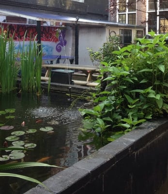 Shelter City Hostel Amsterdam by null