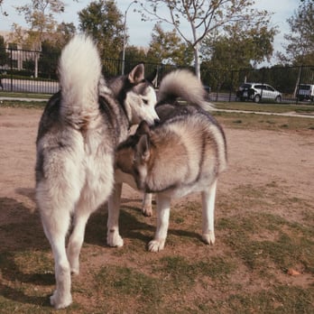 Riverwalk Dog Park - Dog Parks Near Me - Riverside, California Riverwalk Dog Park - Dog Parks Near Me - Riverside, California
