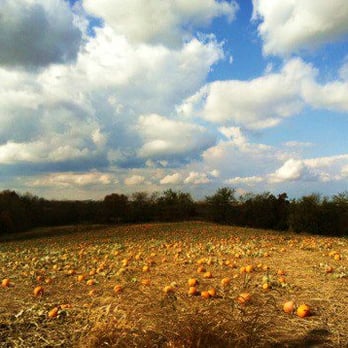 Amaizing-Acres - Pumpkin Patch - Amusement Parks Near Me - Barnard, Missouri
