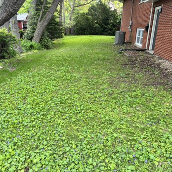 Eleve Property Services - Lawn Services Near Me - Chicago, Illinois Eleve Property Services - Lawn Services Near Me - Chicago, Illinois