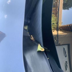 Norco Hills Car Wash - Leaves and debris.
