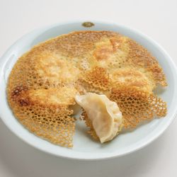 JA Jiaozi - Pan-Fried Jiao Zi