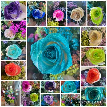 Hayward Flowers - Rainbow flowers - Florists Near Me - Hayward, California Hayward Flowers - Rainbow flowers - Florists Near Me - Hayward, California