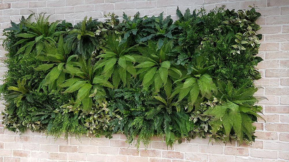 greenery-imports-updated-november-2024-2187-castlereagh-rd-penrith