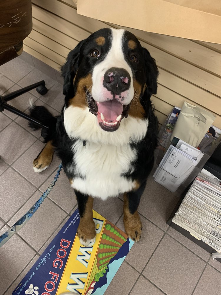 UBERDOG MOUNT PLEASANT Updated October 2024 571 Mount Pleasant Road