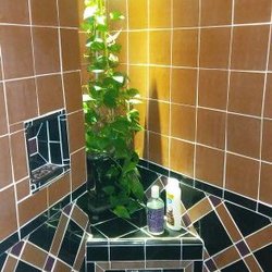 Ancient Aromatics - Vichey Shower with Artisan Malibu Tile