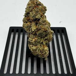 The Herb Closet - 5634a296058fdb5eba74b34ae5f3e97b999d566357586374c0c08a1cf219edb3.jpg