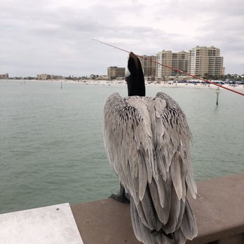 Clearwater Beach - Beaches Near Me