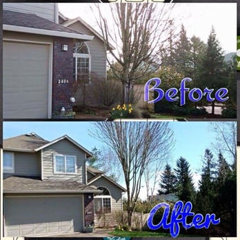 E&S Tree Service - Tree Services Near Me E&S Tree Service - Tree Services Near Me