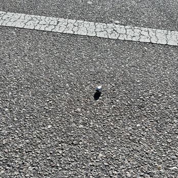 Express Oil Change & Tire Engineers - A lug nut from my tire in the road. - Tires Near Me - Oldsmar, Florida Express Oil Change & Tire Engineers - A lug nut from my tire in the road. - Tires Near Me - Oldsmar, Florida