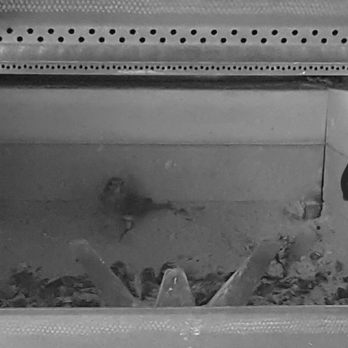 Ashbusters Chimney Service - Masonry/Concrete Near Me - Nashville, Tennessee Ashbusters Chimney Service - Masonry/Concrete Near Me - Nashville, Tennessee