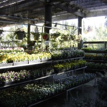 Weiss Bros Nursery - Nurseries & Gardening Near Me - Grass Valley, California Weiss Bros Nursery - Nurseries & Gardening Near Me - Grass Valley, California