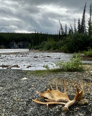 Expeditions Alaska by null