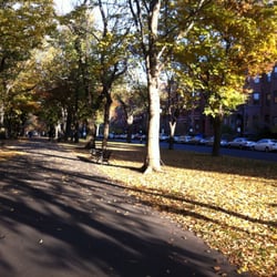 Back Bay Guitar Lessons