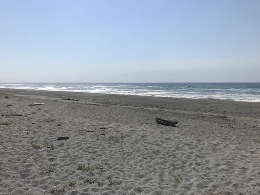 Gold Bluffs Beach Campground by null
