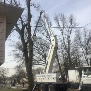 Diaz Landscape Design & Tree Service - Tree Services Near Me - Piscataway, New Jersey Diaz Landscape Design & Tree Service - Tree Services Near Me - Piscataway, New Jersey