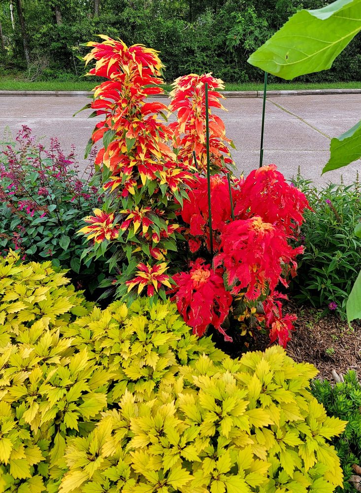 KINGWOOD GARDEN CENTER 51 Photos & 13 Reviews 1216 Stonehollow Dr, Kingwood, TX Yelp