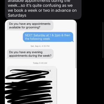 Claws and Paws - Text conversation - Pet Groomers Near Me - Tampa Bay, Florida