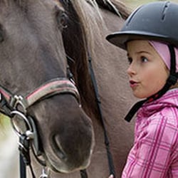 Sandwell Valley Riding Centre