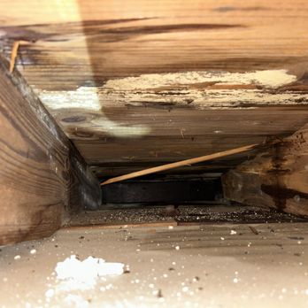 Timmons & Carroll Roofing - Leaking roof with mold - Roofing Near Me - Crestview, Florida Timmons & Carroll Roofing - Leaking roof with mold - Roofing Near Me - Crestview, Florida