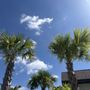The Hadley Apartments - North Port, FL
