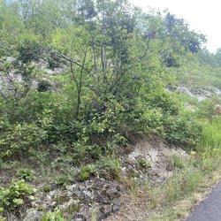Willard Munger State Trail - Bedrock