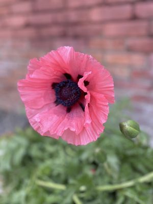 Made With Love Bakery by null