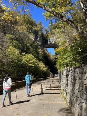 Natural Bridge State Park by null