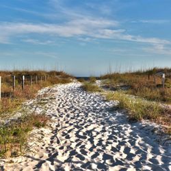 Okaloosa Island Beach Adventures