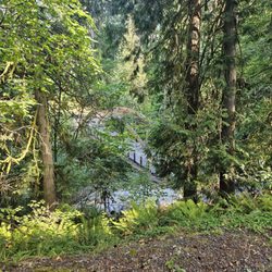 Hidden Falls Nature Park