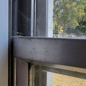Sunflower Cleaning Group - webs on another window - Home Cleaning Near Me - Columbia, South Carolina