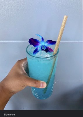 Blue Sushi Sake Grill by null