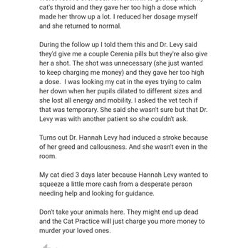 Cozy Cats Vet - Veterinarians Near Me - Silver Spring, Maryland Cozy Cats Vet - Veterinarians Near Me - Silver Spring, Maryland