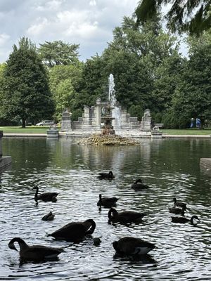 Tower Grove Park by null