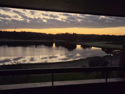 Innisbrook Resort by null