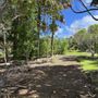 Photo of Amy Greenwell Ethnobotanical Garden