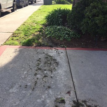 Water Leaking From A Sprinkler Head Does Better Job Keeping The Water Leaking From A Sprinkler Head Does Better Job Keeping The