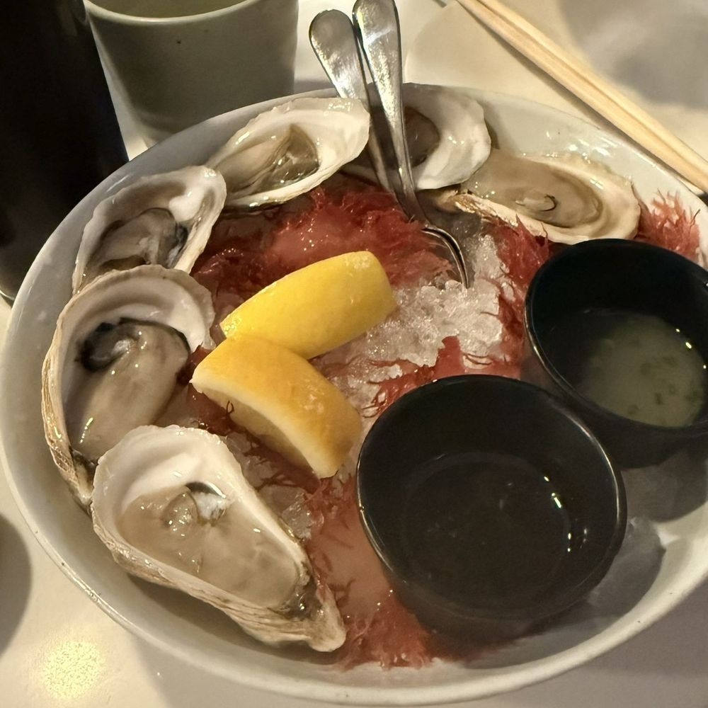 Oysters Oysters