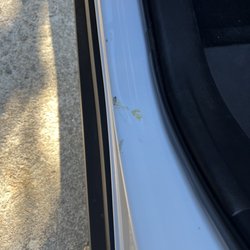 Avis Rent A Car - Bird poop? On the INSIDE of the car