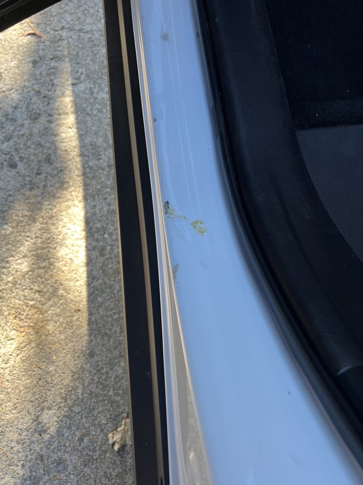 AVIS RENT A CAR Updated July 2024 18 Reviews 2055 Alcoa Hwy