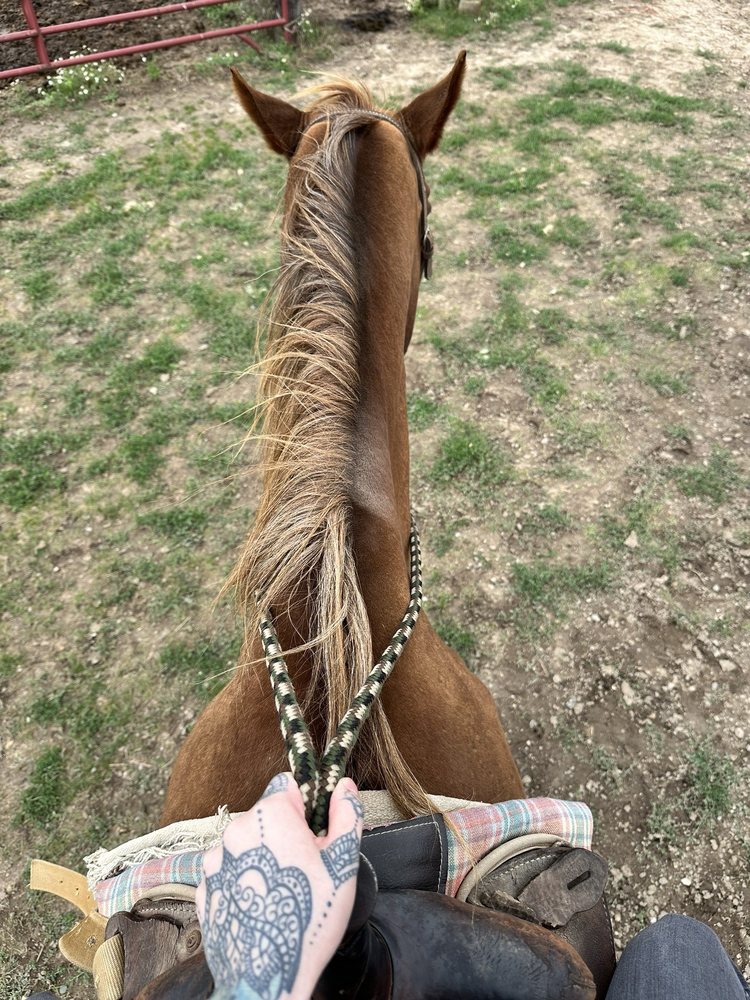 Knoblock Riding Stable Logo