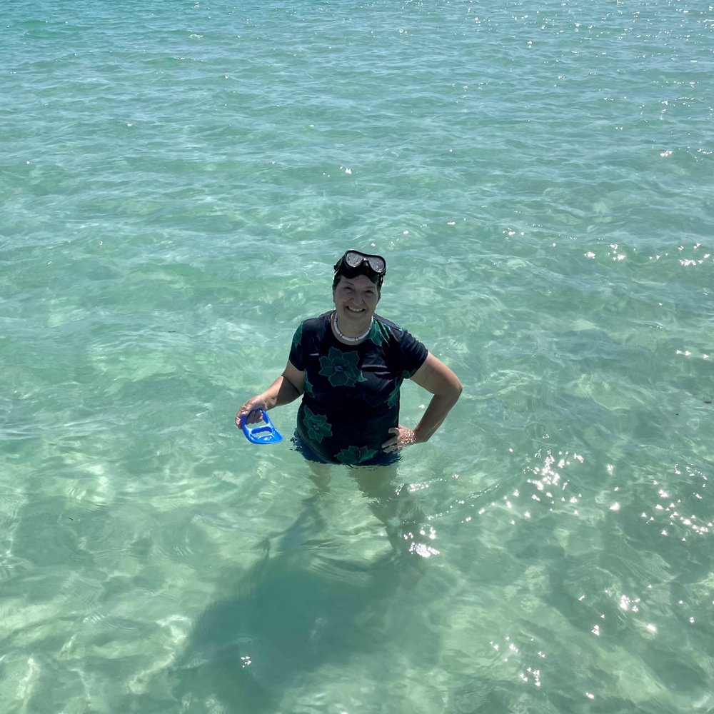 Passage Key Dolphin Tours - snorkeling - Snorkeling Near Me - Bradenton Beach, Florida