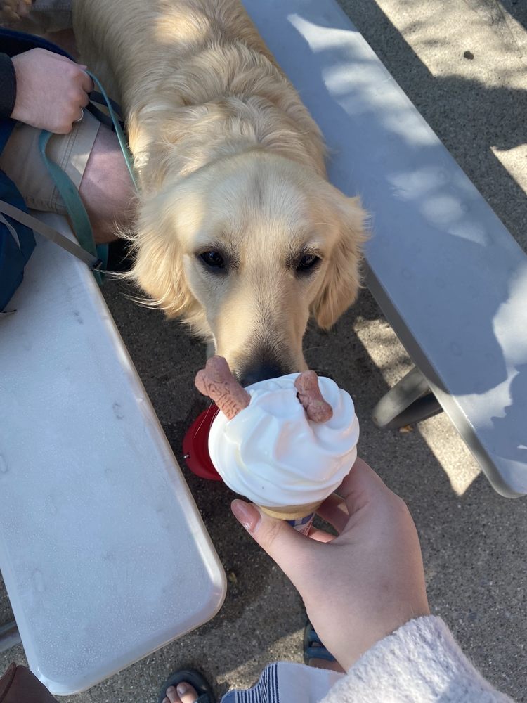FIFE LAKE DAIRY BAR Updated August 2024 211 E State St, Fife Lake