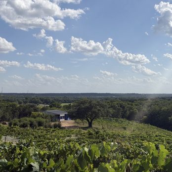 Valley Mills Vineyards - Wineries Near Me - Valley Mills, Texas Valley Mills Vineyards - Wineries Near Me - Valley Mills, Texas