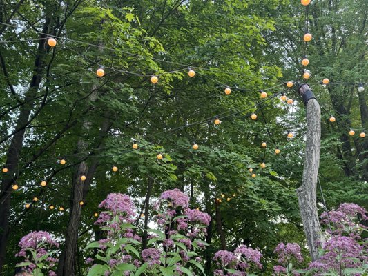 Glen Iris Inn by null